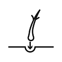 Faza implantacije (Faza implantacije)