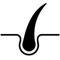 Implantacija